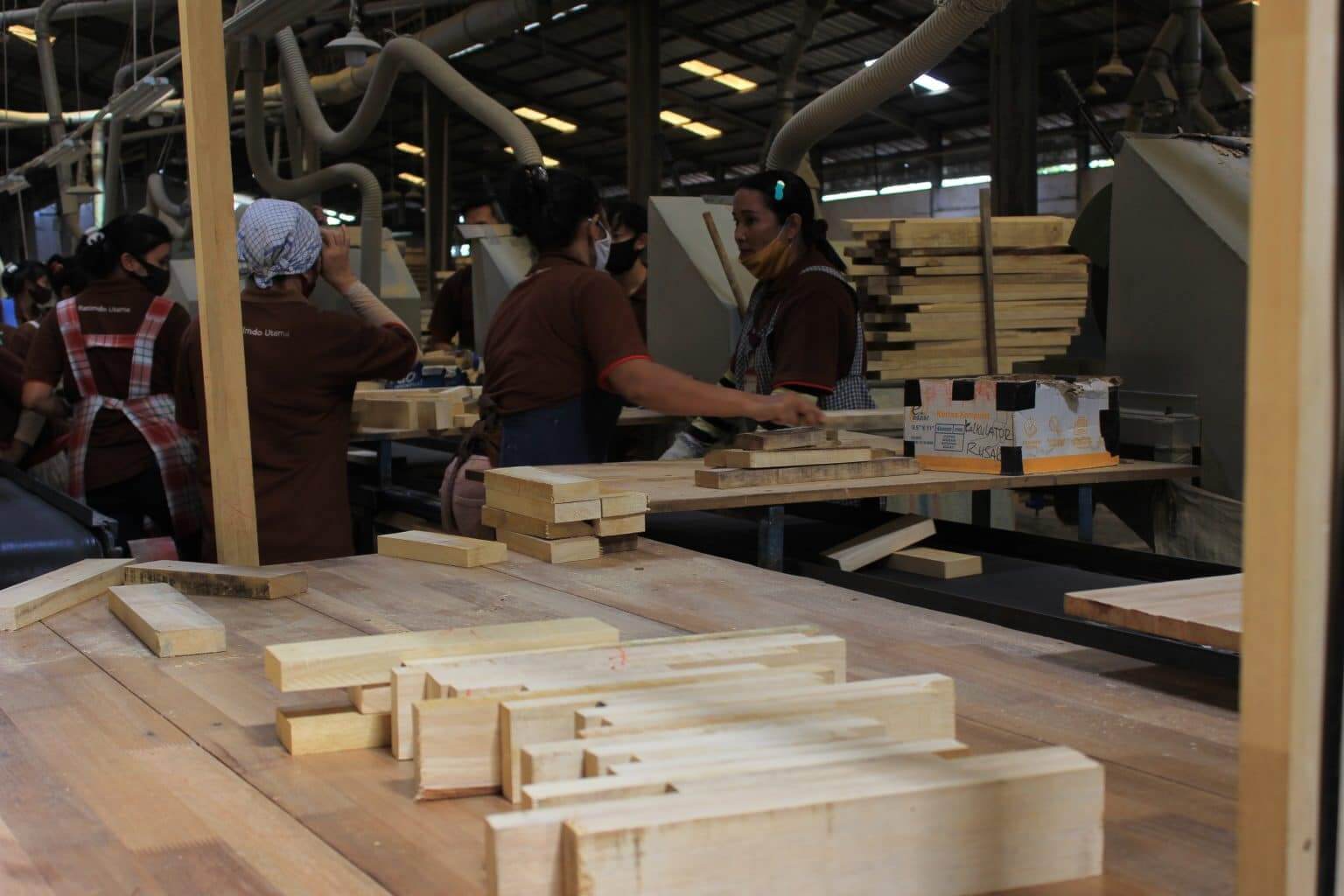 PT Ratimdo Utama's sustainable timber initiative